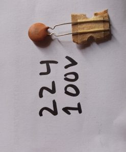 Ceramic Capacitor 220nF 100v Ceramic Disc 224 Capacitor