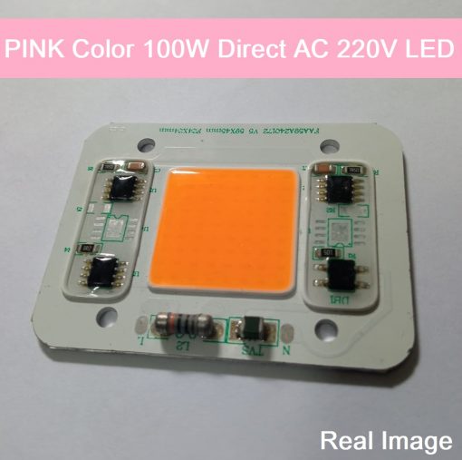 PINK Color 100W Direct AC 220V LED