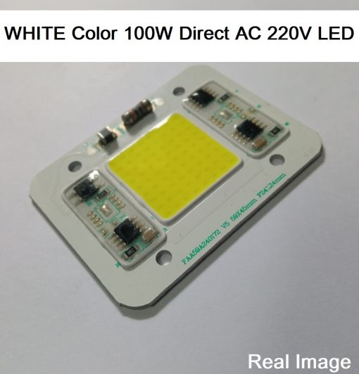 WHITE Color 100W Direct AC 220V LED