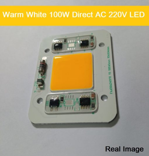 WARM White Color Supper Bright 100W Direct AC 220V LED 100W