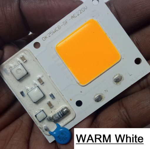 WARM White Color OK25WCG-GF 25W Direct AC 220V COB LED Chip