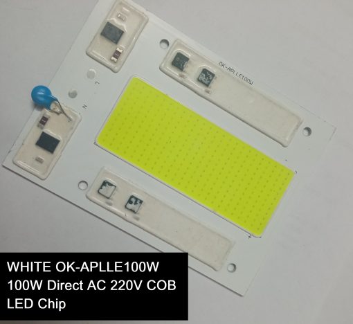 WHITE Color OK-APLLE100W 100W Direct AC 220V COB LED Chip