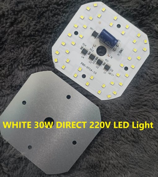 WHITE 30W DIRECT 220V LED Light